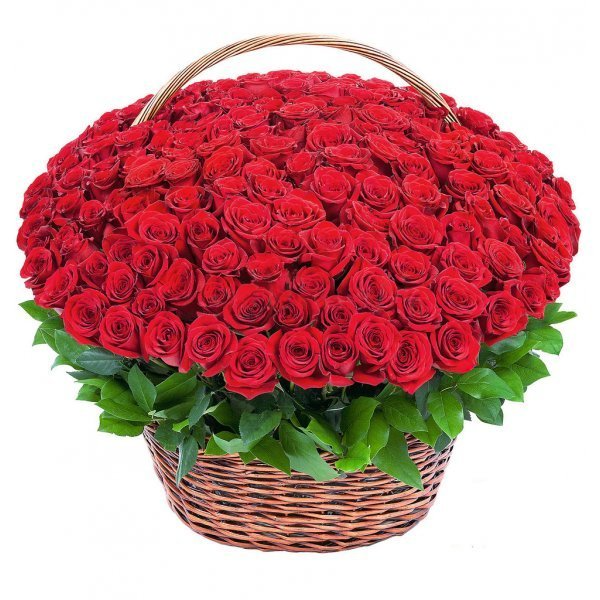 Belek Florist in Basket 121 Roses 