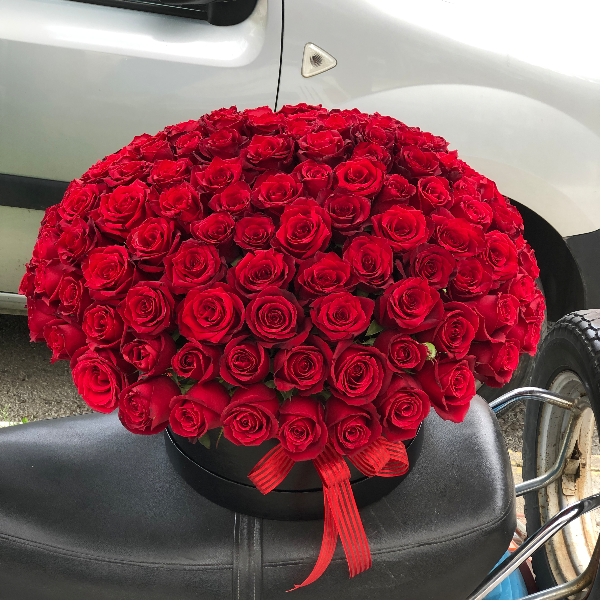 Belek Florist 121 Red Roses in Box