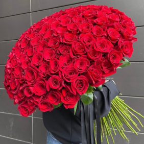  Send Flowers Belek 101 Red Roses Bouquet 