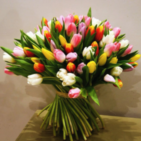  Send Flowers Belek 75 Mix Tulips Bouquet 