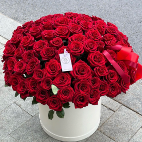  Belek Blumenbestellung 55 rote Rosen in einer Box