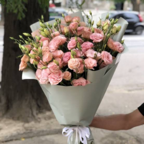  Flower Delivery Belek Pink Eustoma Bouquet 