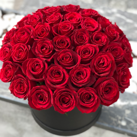  Доставка цветов в Белеке 61 красная роза в коробке