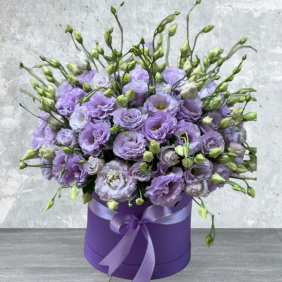  Закажите цветы в Белек Лизиантус фиолетовый в коробке